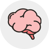 mouse_Brain