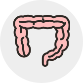 human_Intestine