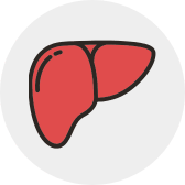 human_Liver