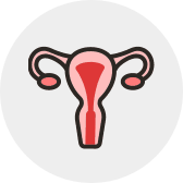 human_Ovary